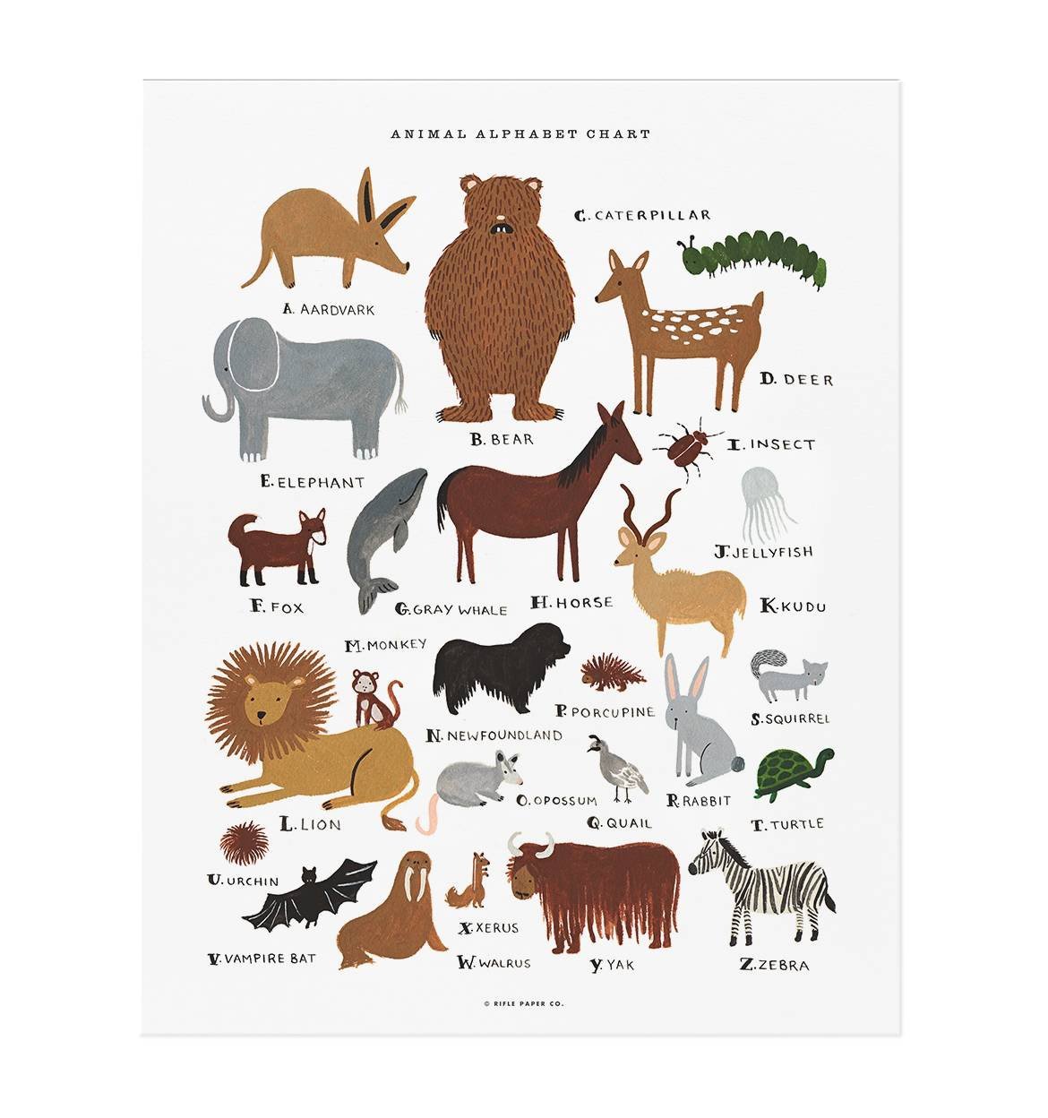 ANIMAL ALPHABET CHART PRINT – Curly & Molly