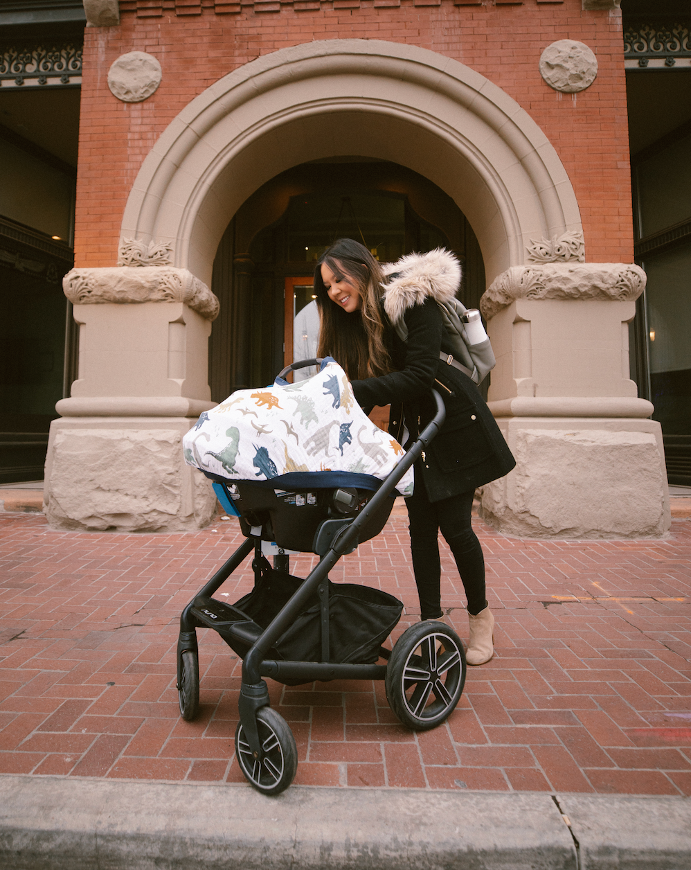 COTTON MUSLIN CAR SEAT CANOPY - DINO FRIENDS
