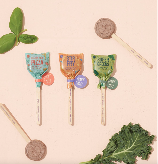 SEED LOLLIPOP - CULINARY - 3 PACK